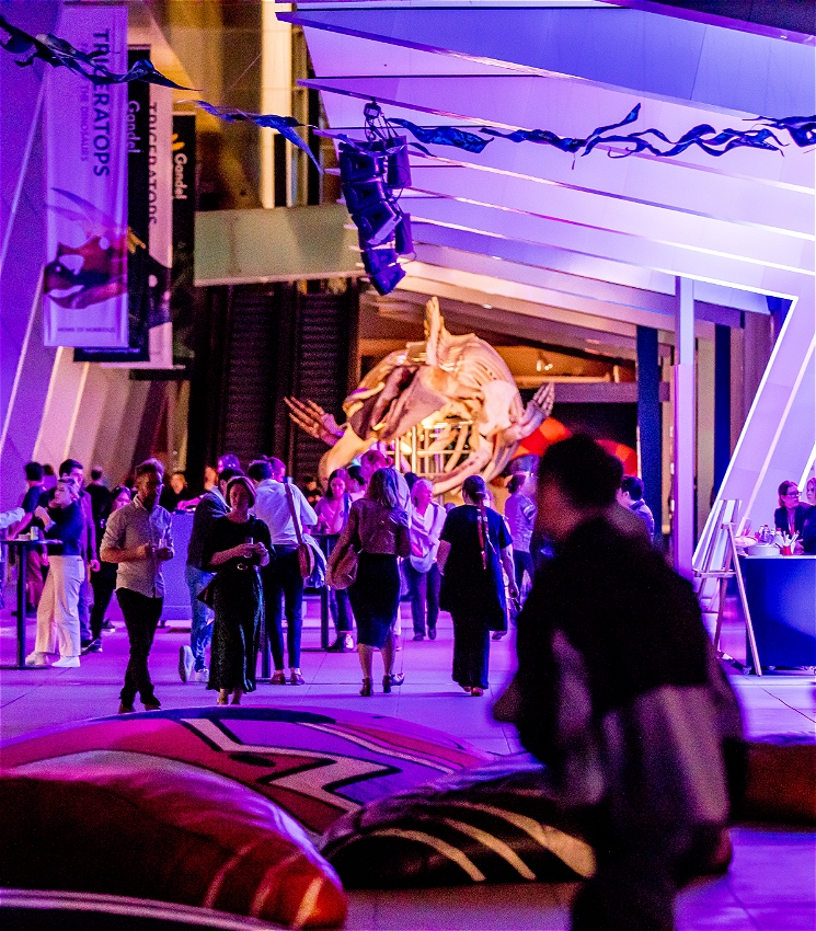 A group of adults hold drinks and wander through the Melbourne Museum main foyer after hours. There is a large whale skeleton in the background and the lighting is soft and colourful.