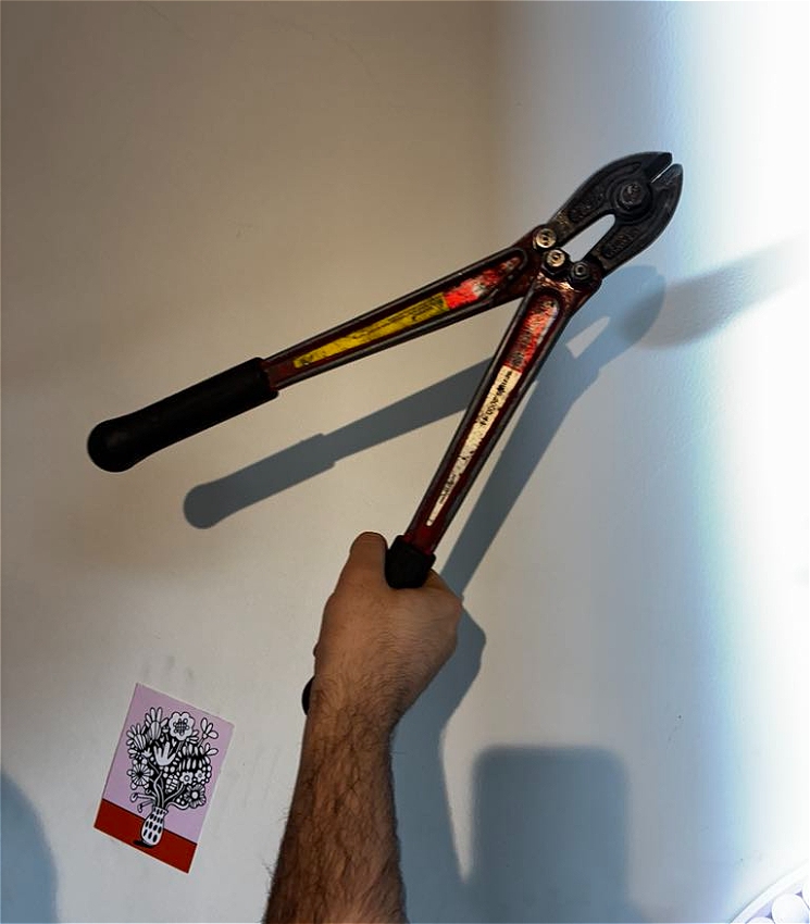 Hand holding bolt cutters against a white wall. On the left of the arm, there is a sticker of cartoon like flowers in a vase against a pink and red background.