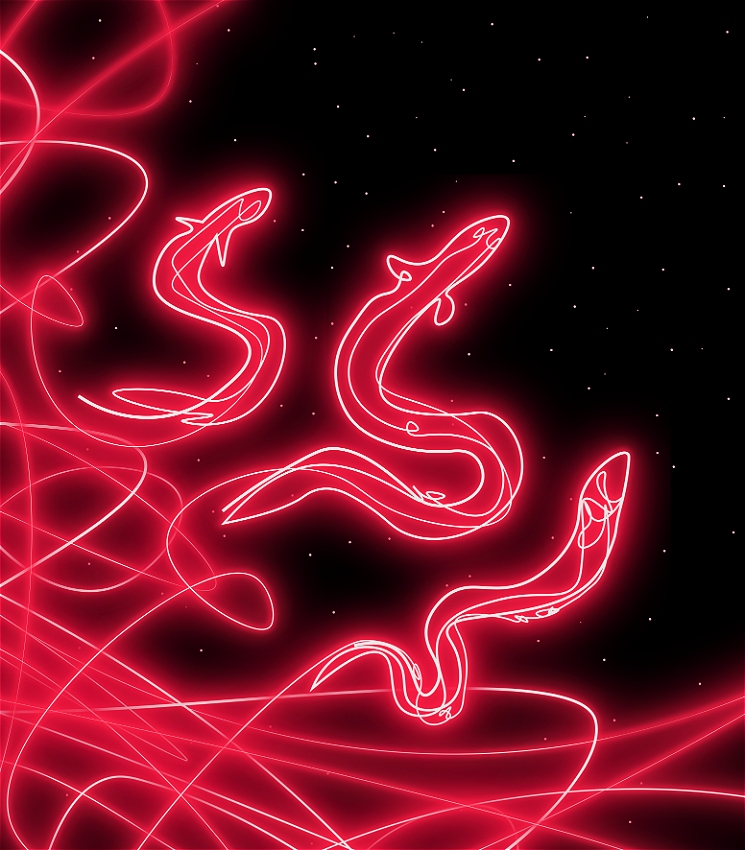 An image of red glowing lines that move across the screen and form shapes of three eels.