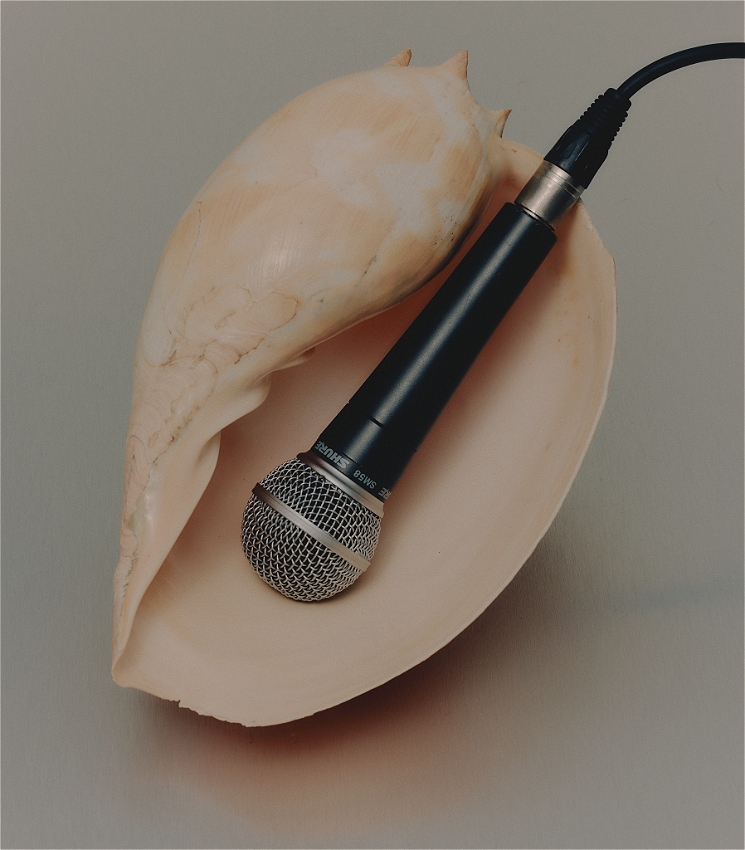 An image of an oval shaped cream shell with a microphone resting inside. The microphone is a standard SM58 with a cable attached. It is sitting on a grey background.