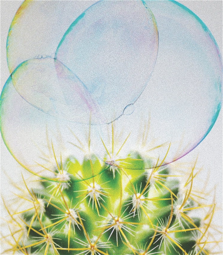 An illustration of a green cactus head with long yellow spikes. There are three large glistening bubbles that appear to rest on the spikes of the cactus. The bubbles look as though they are about to float away.