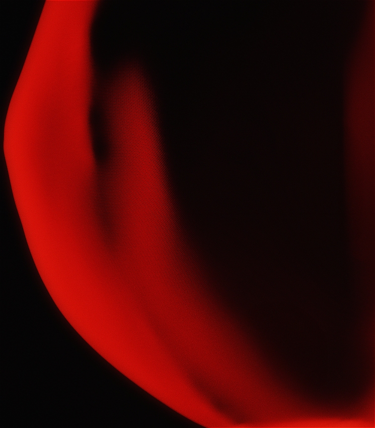 A black background with close up of a spine in red light 