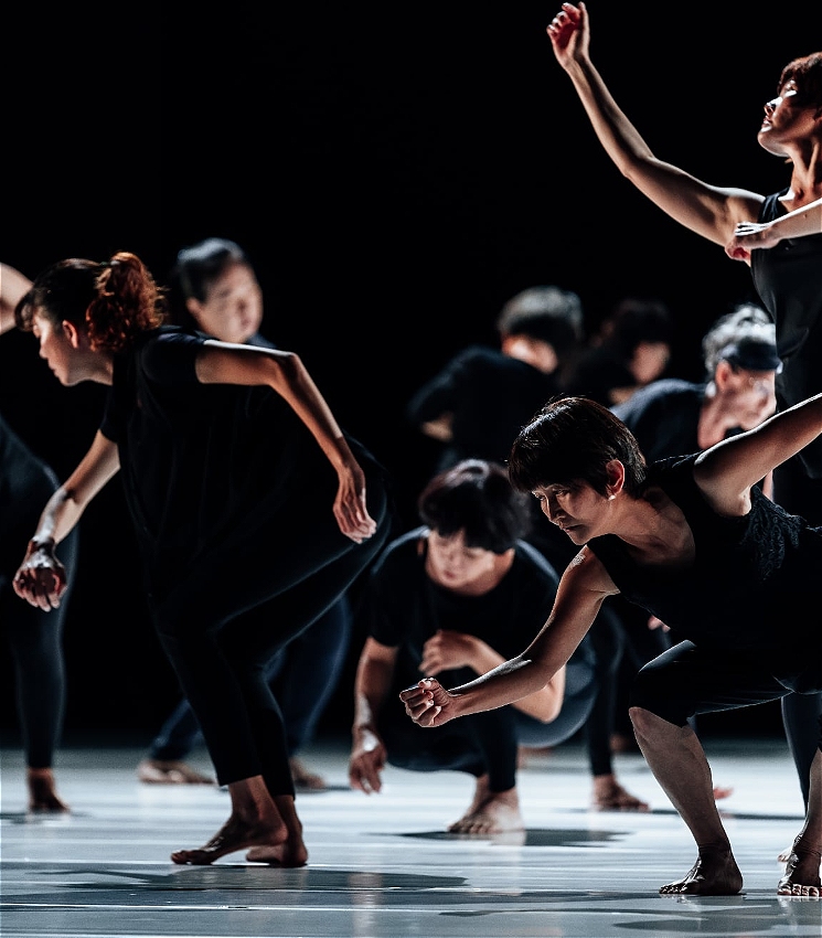 On white floor there are older performers moving and dressed in dance blacks. The performers make interesting shapes with their bodies, some low, some high, all purposeful.